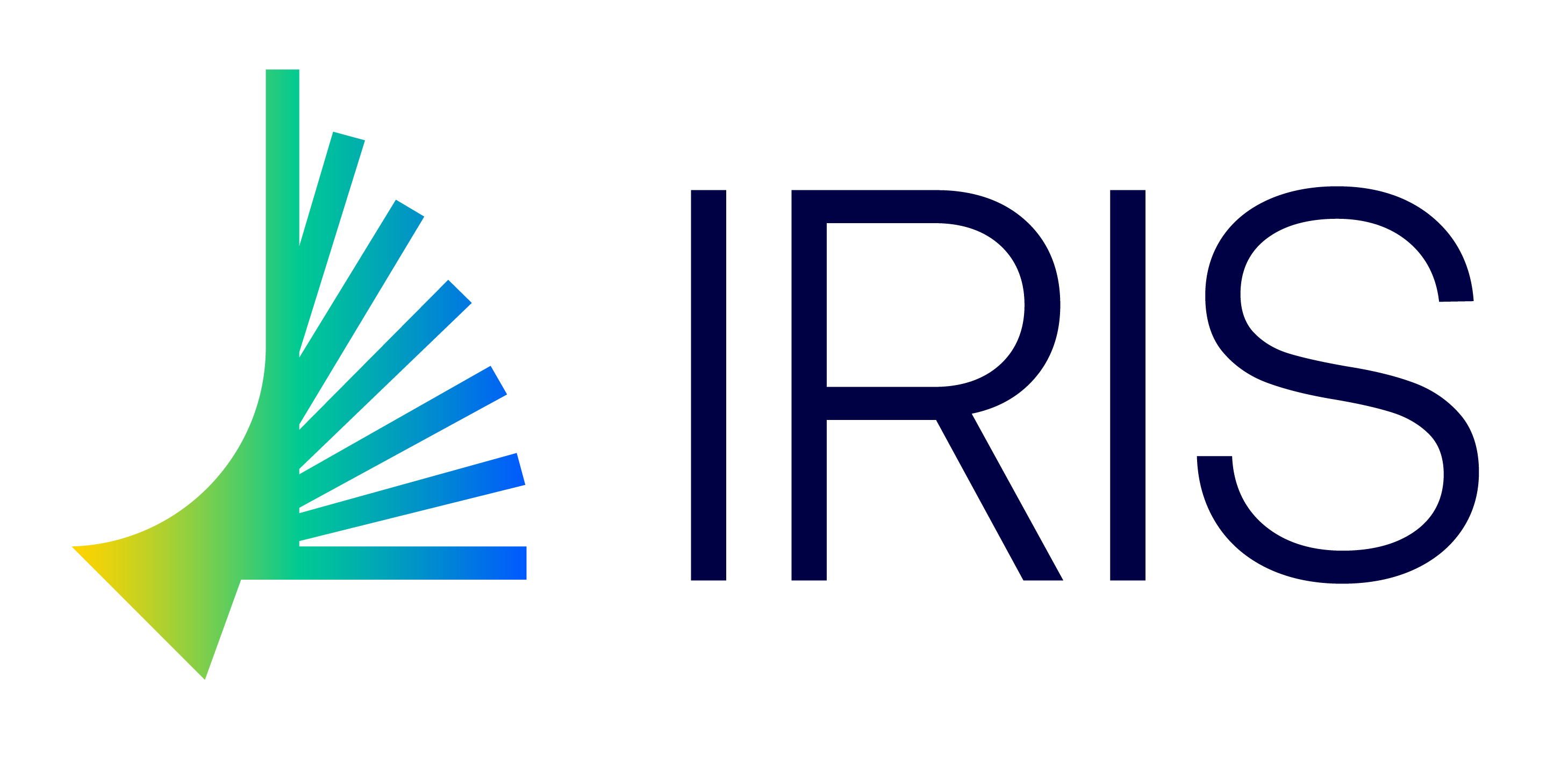 logo IRIS Technology Solutions